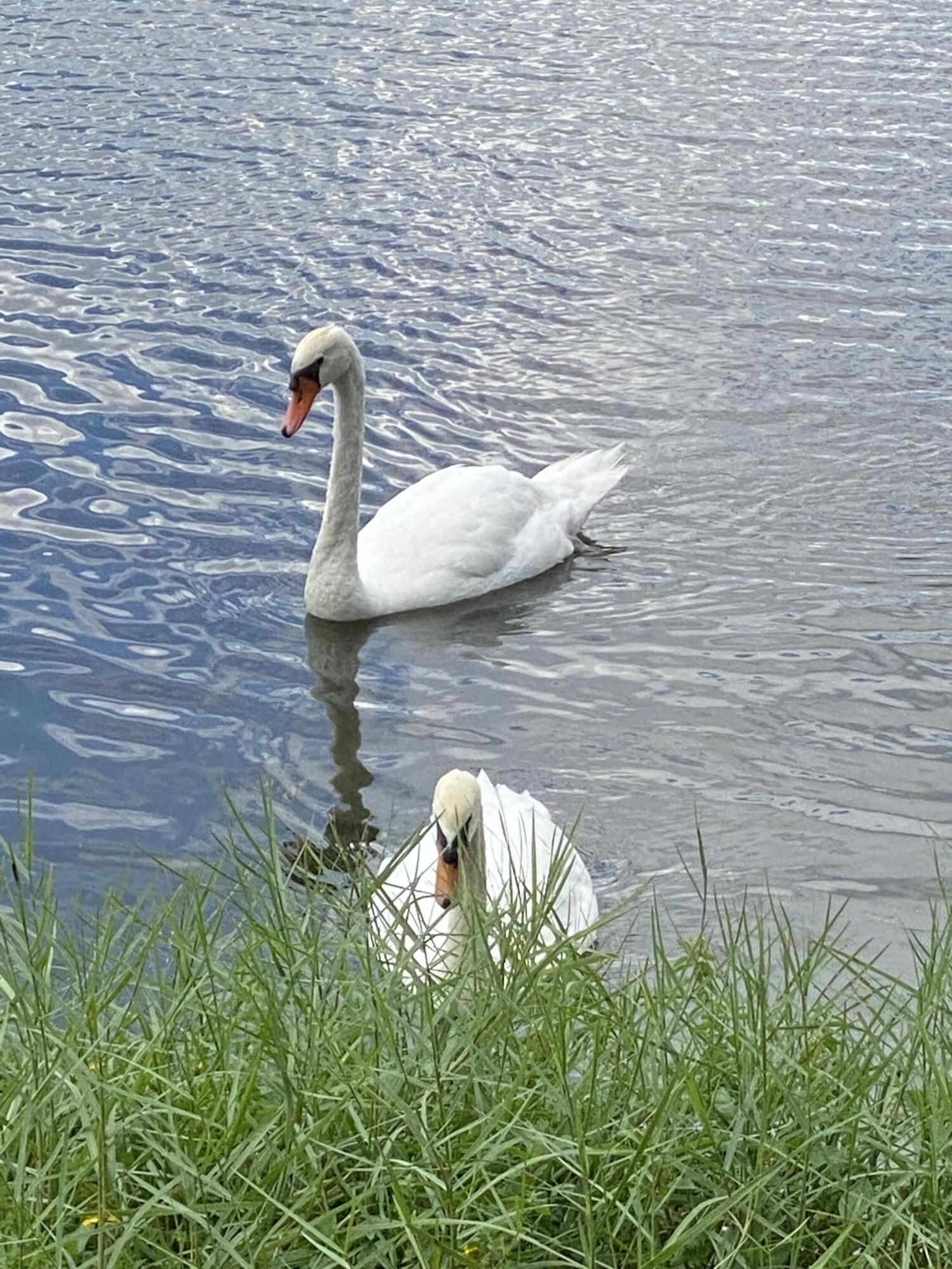 3130 Millwood Terrace M210