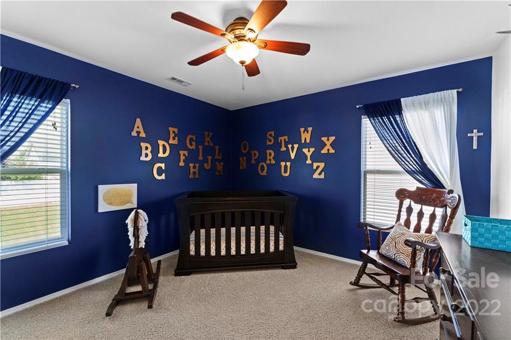 113 Tulip Drive