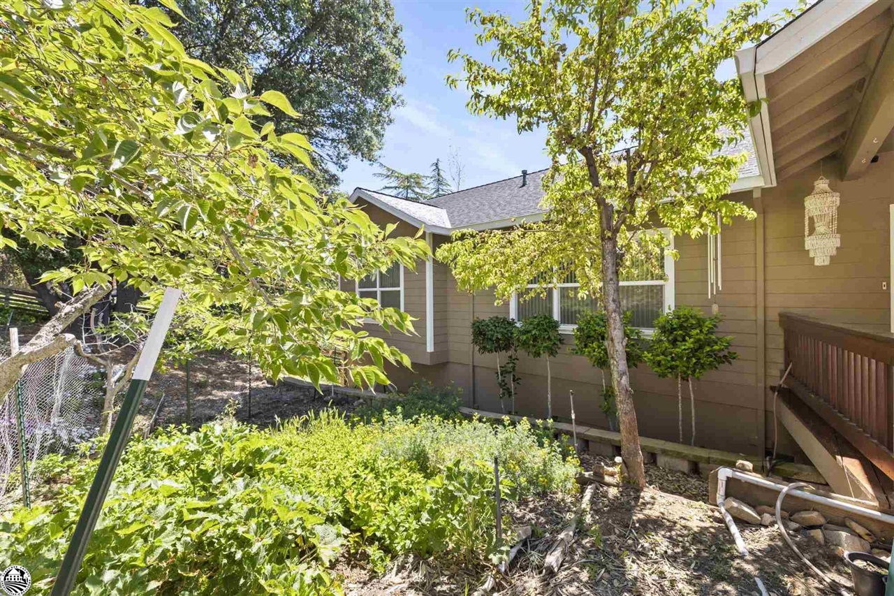 17313 Valley Oak