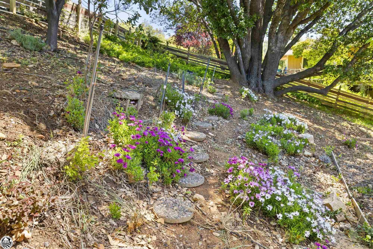 17313 Valley Oak