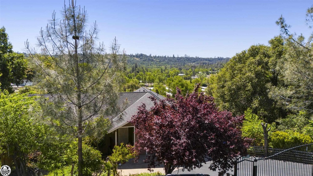 17313 Valley Oak