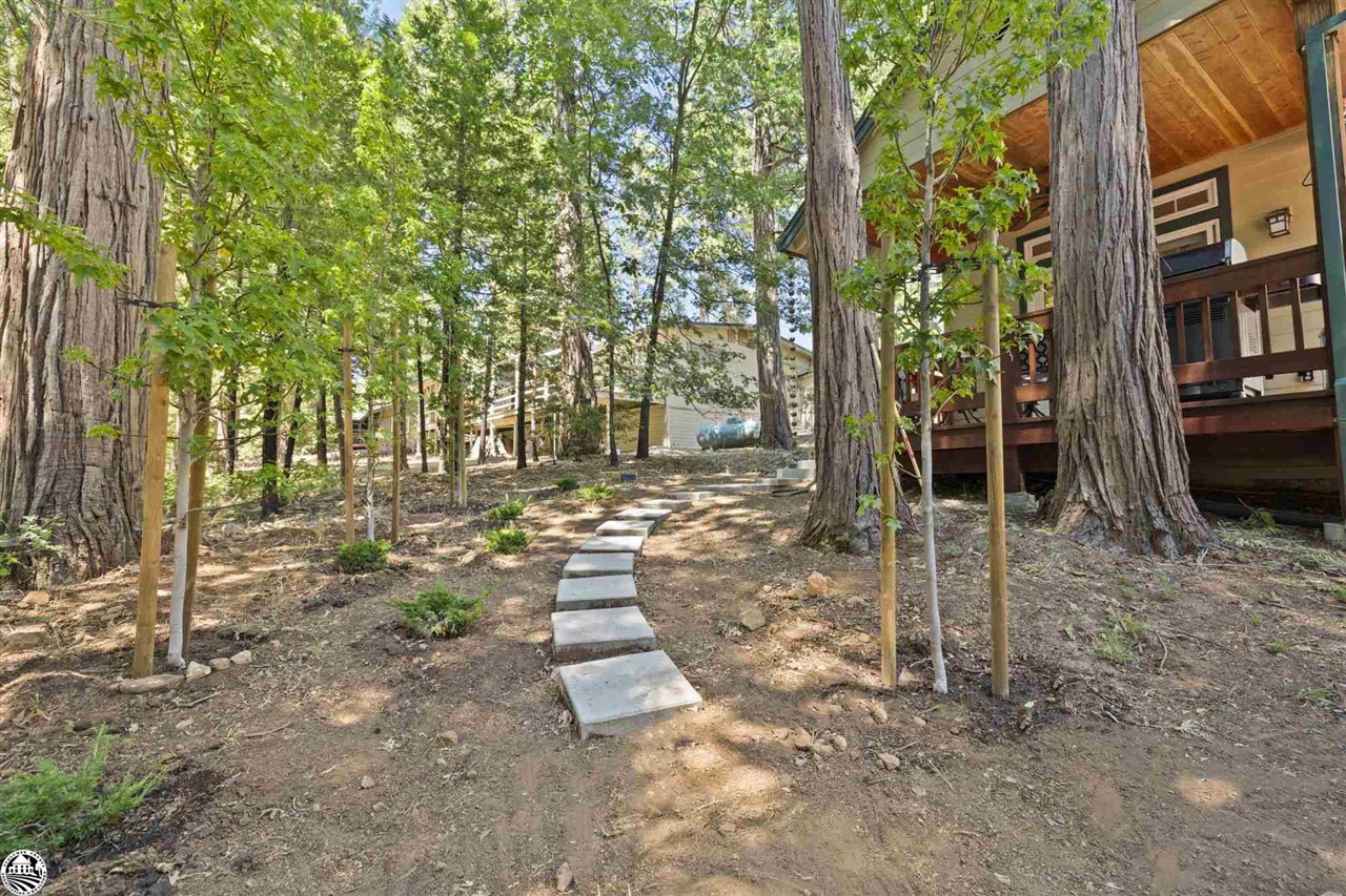 24100 White Fir Dr.