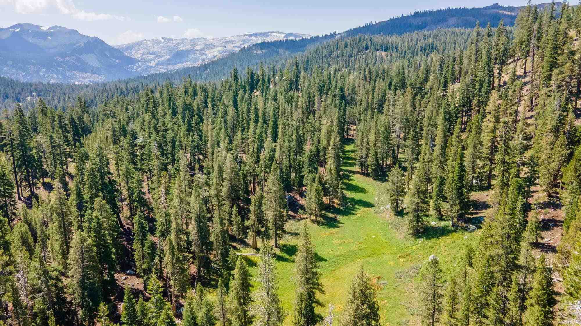 00000 Eagle Meadow
