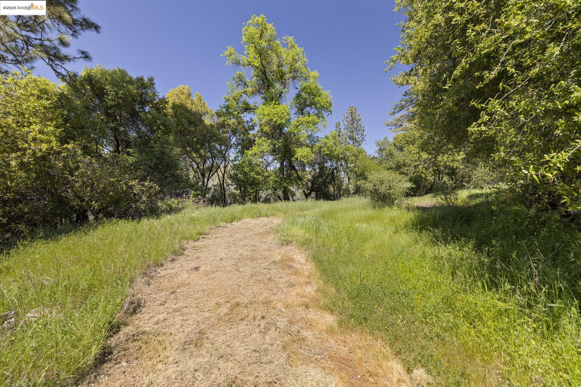9780 Mormon Creek Rd