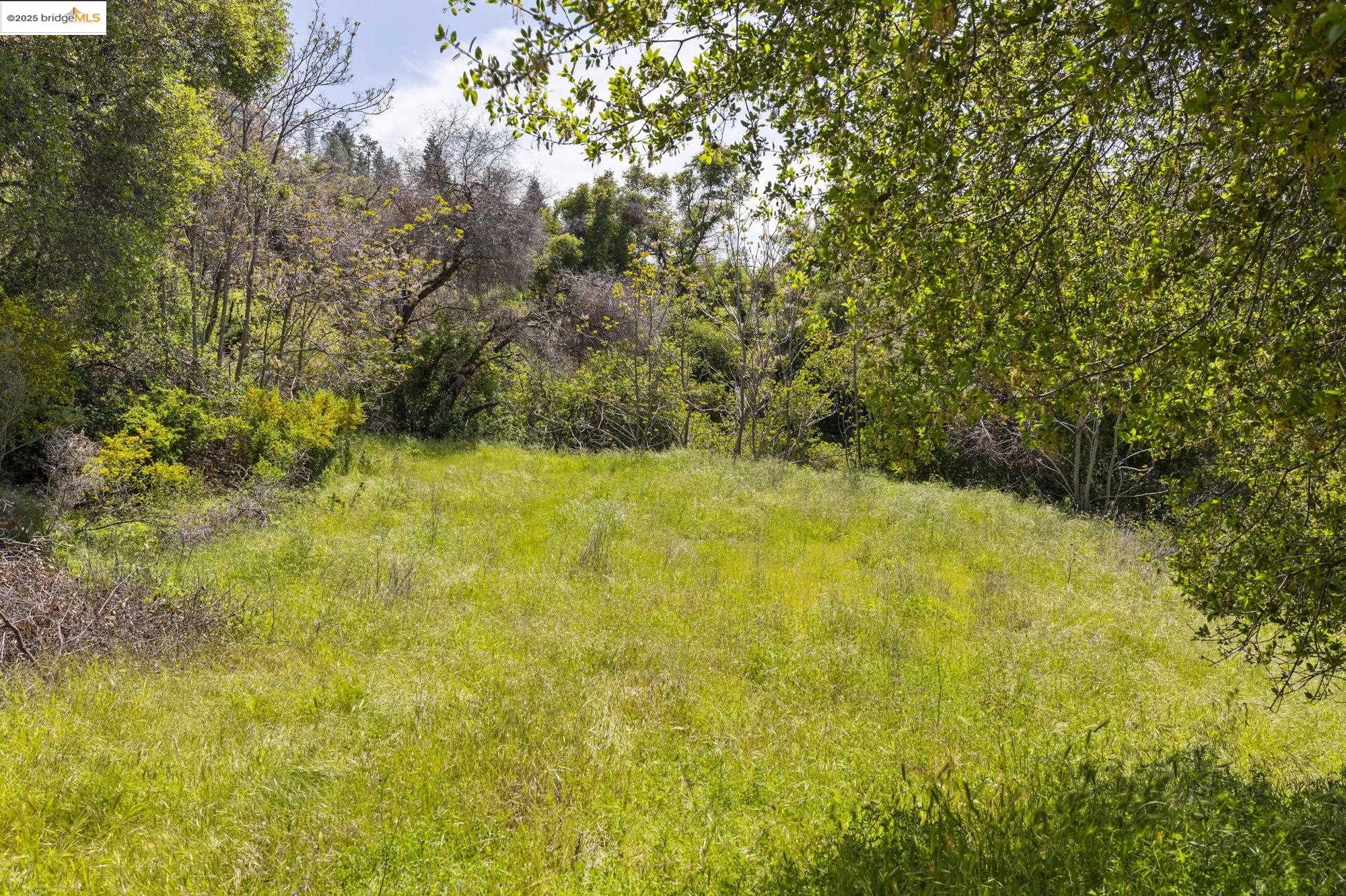 9780 Mormon Creek Rd