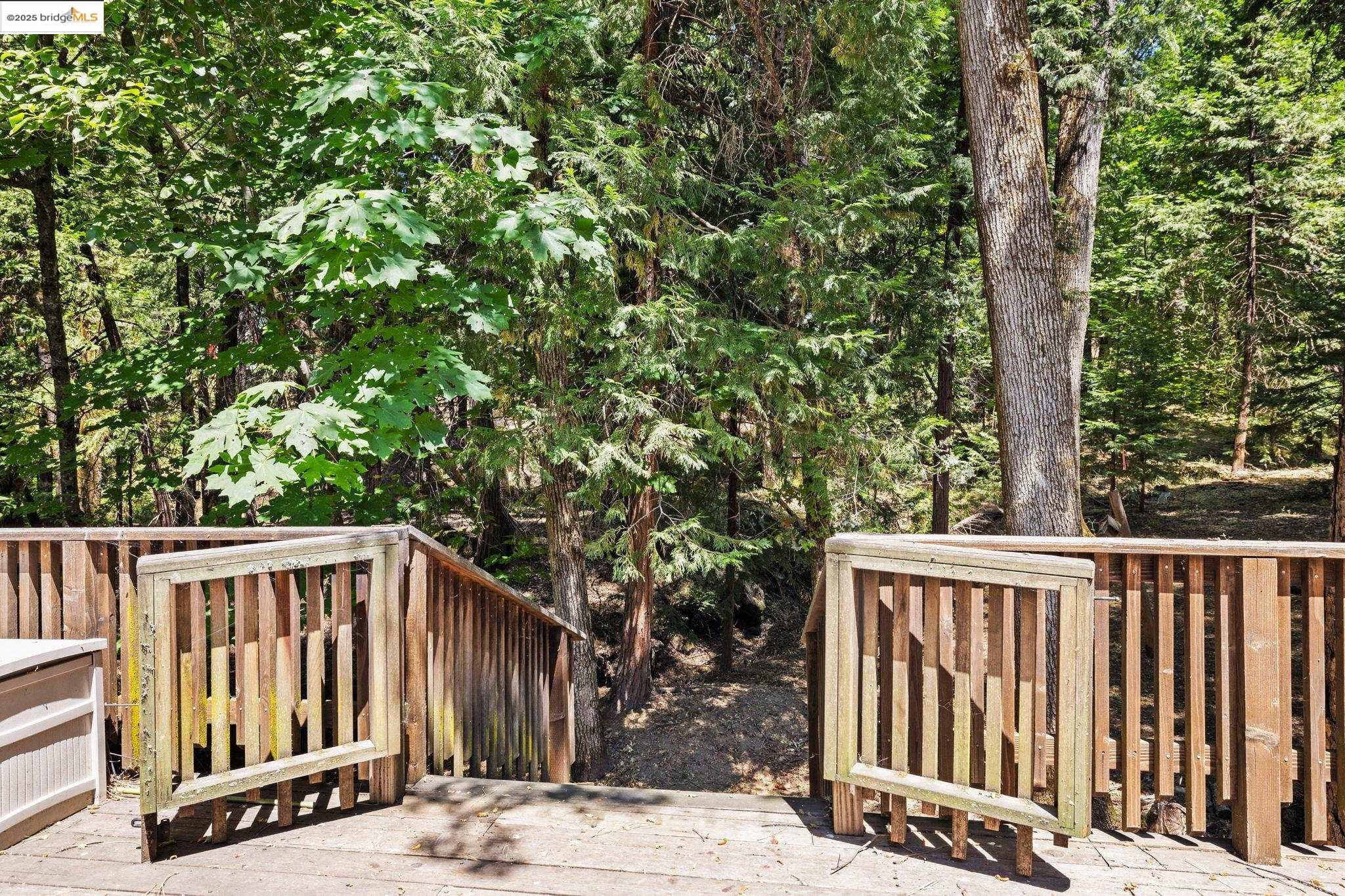 21517 Crystal Falls Drive