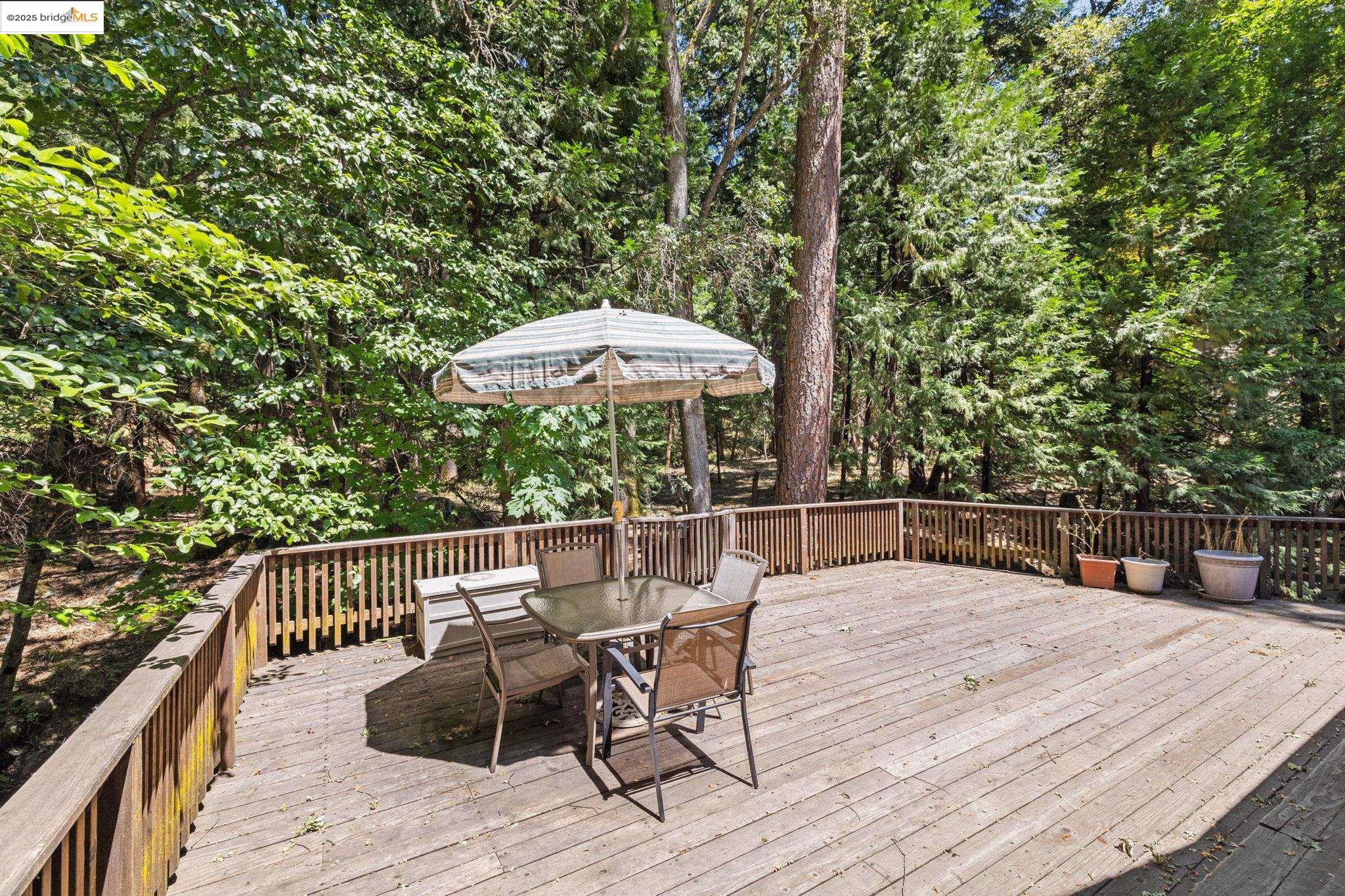 21517 Crystal Falls Drive