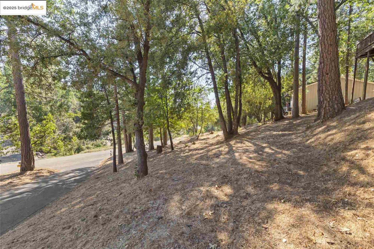 20569 Ponderosa Way