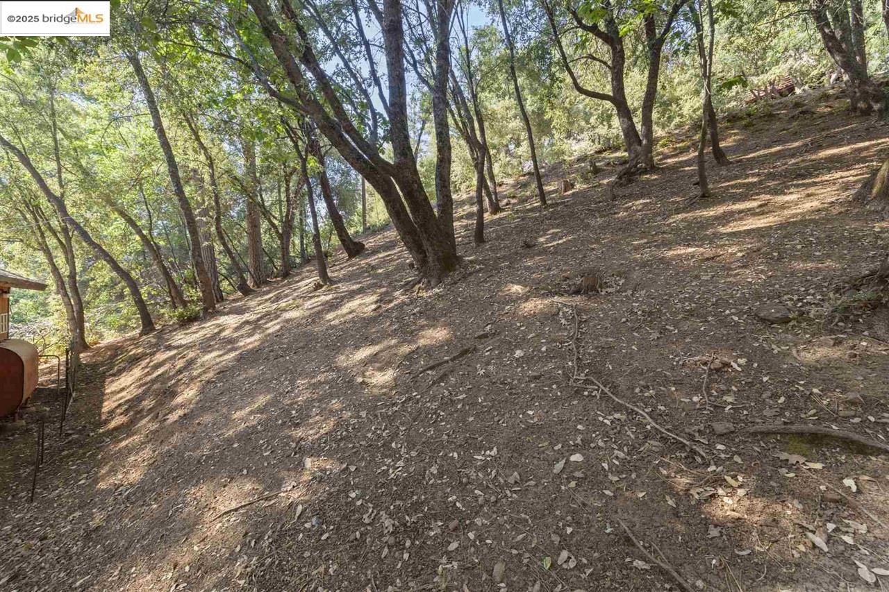 20569 Ponderosa Way