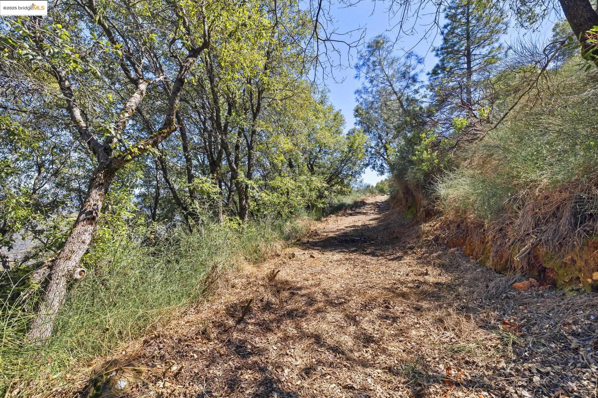 22611 Ridgemont Dr