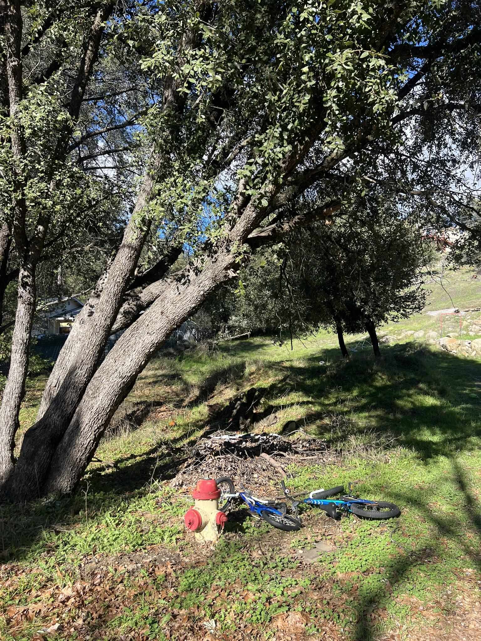 00000 Creekside Drive