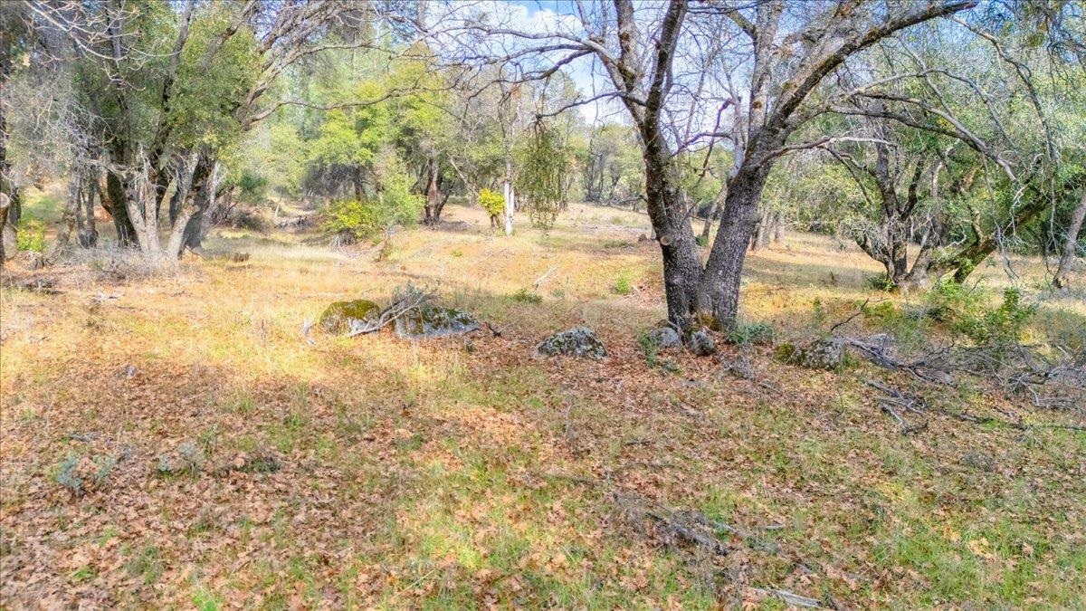 00000 Montgomery Rd