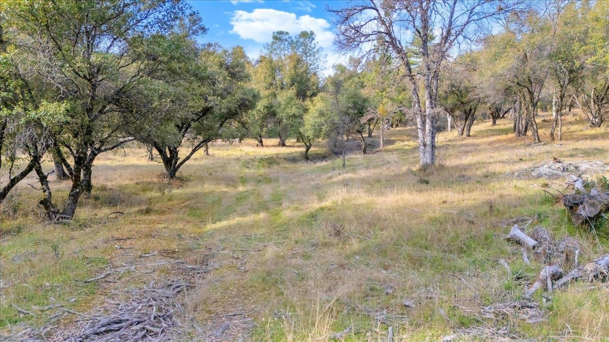 00000 Montgomery Rd