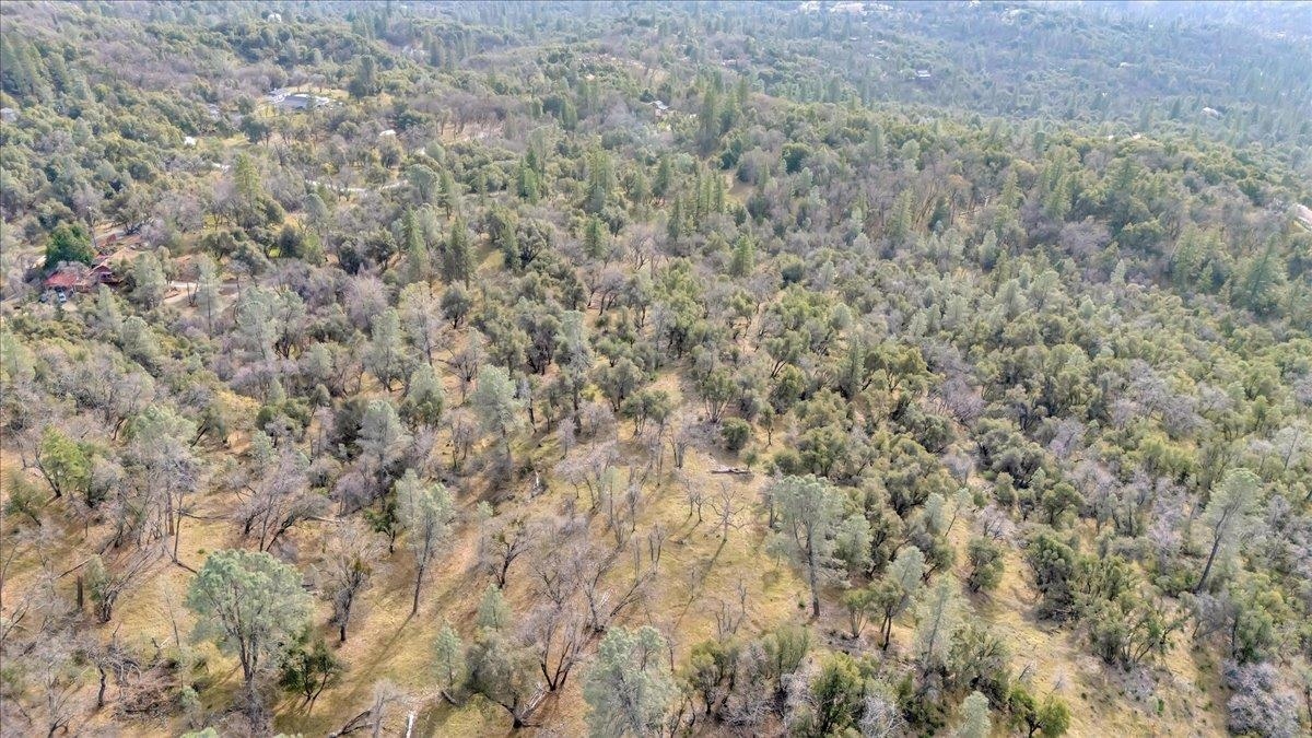 00000 Montgomery Rd