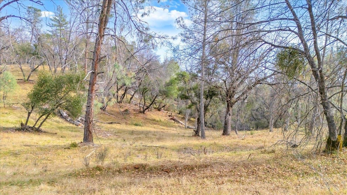 00000 Montgomery Rd