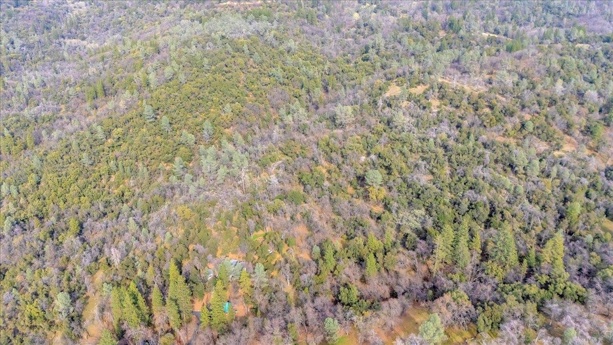 00000 Montgomery Rd