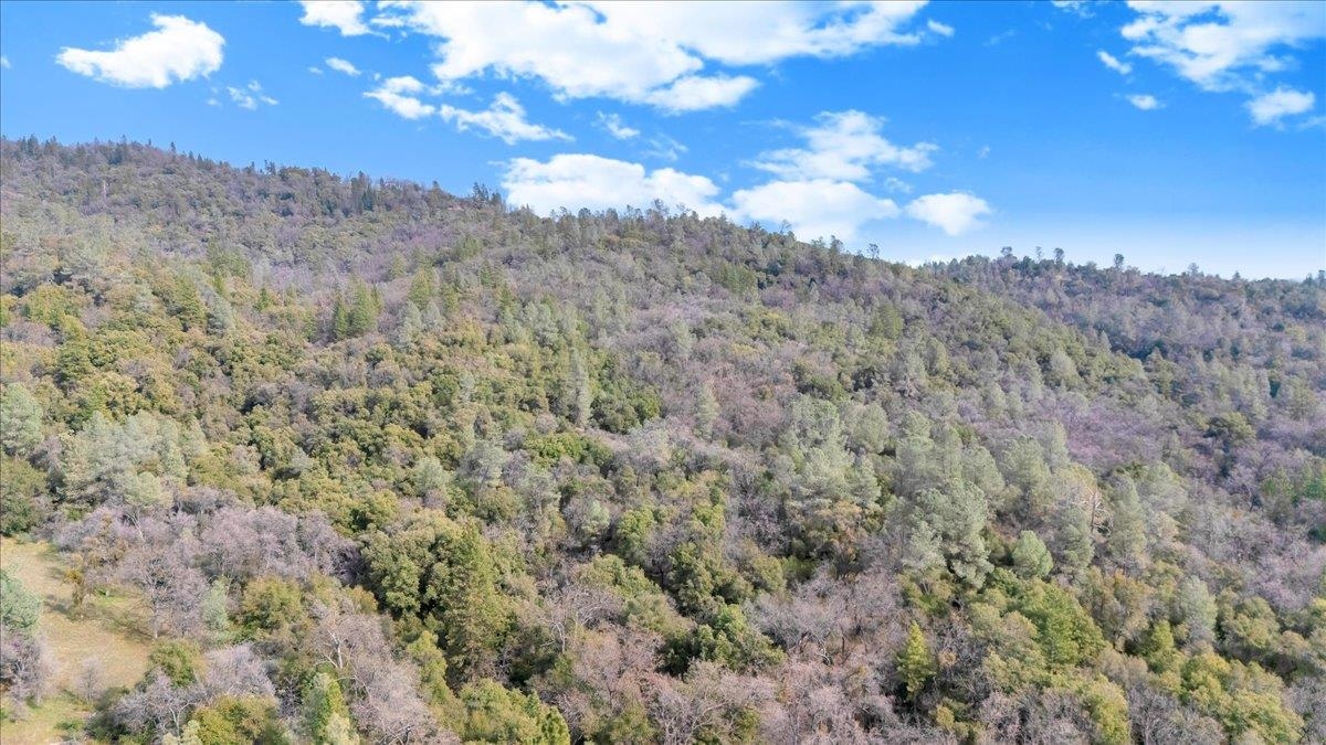 00000 Montgomery Rd