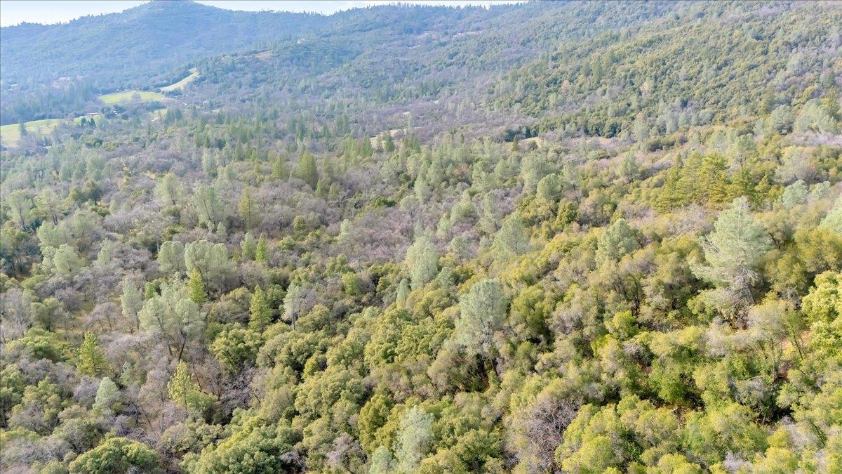00000 Montgomery Rd