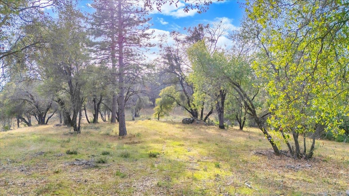 00000 Montgomery Rd