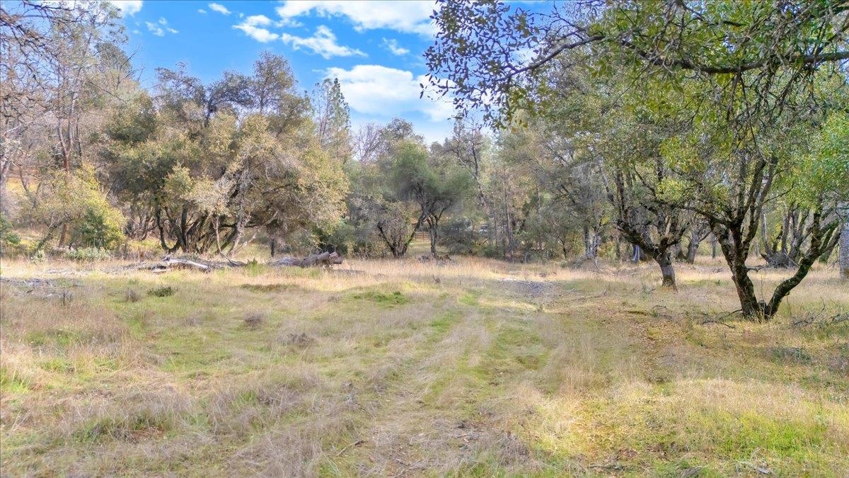 00000 Montgomery Rd