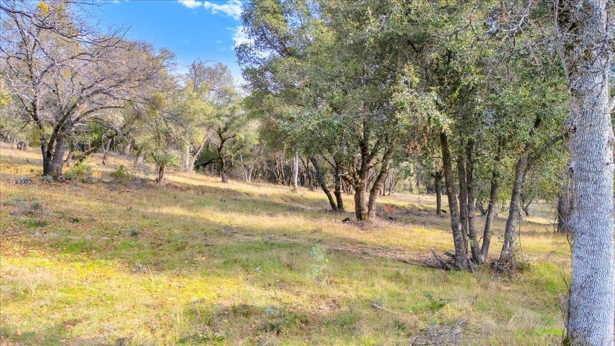 00000 Montgomery Rd