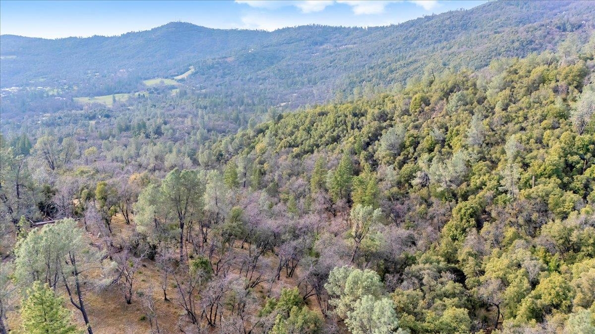 00000 Montgomery Rd