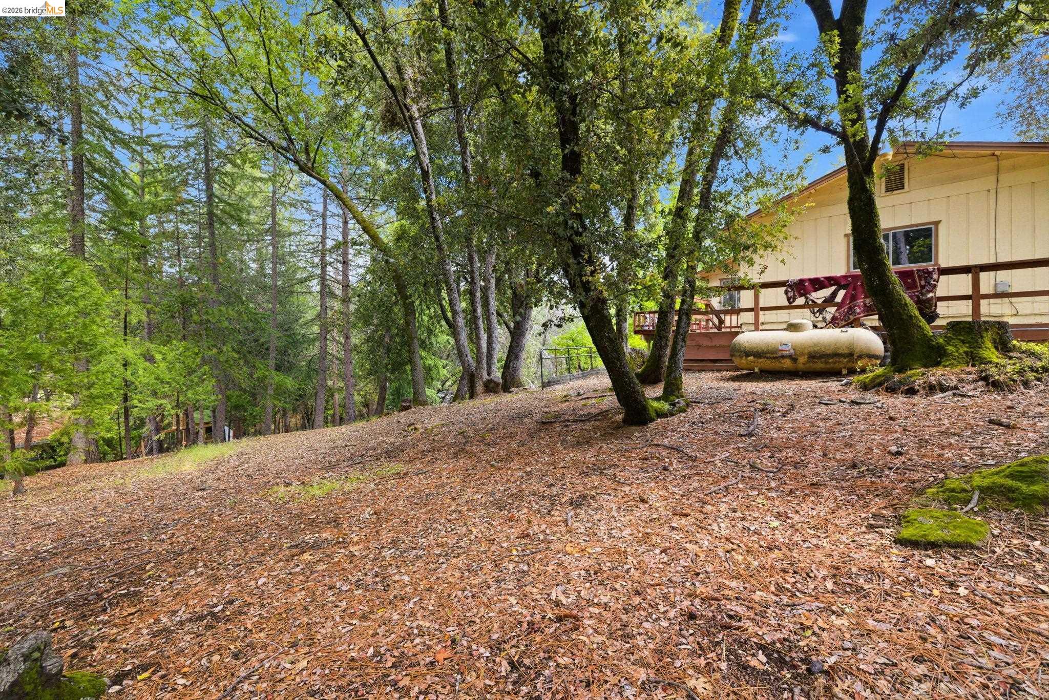 21441 Crestview Dr
