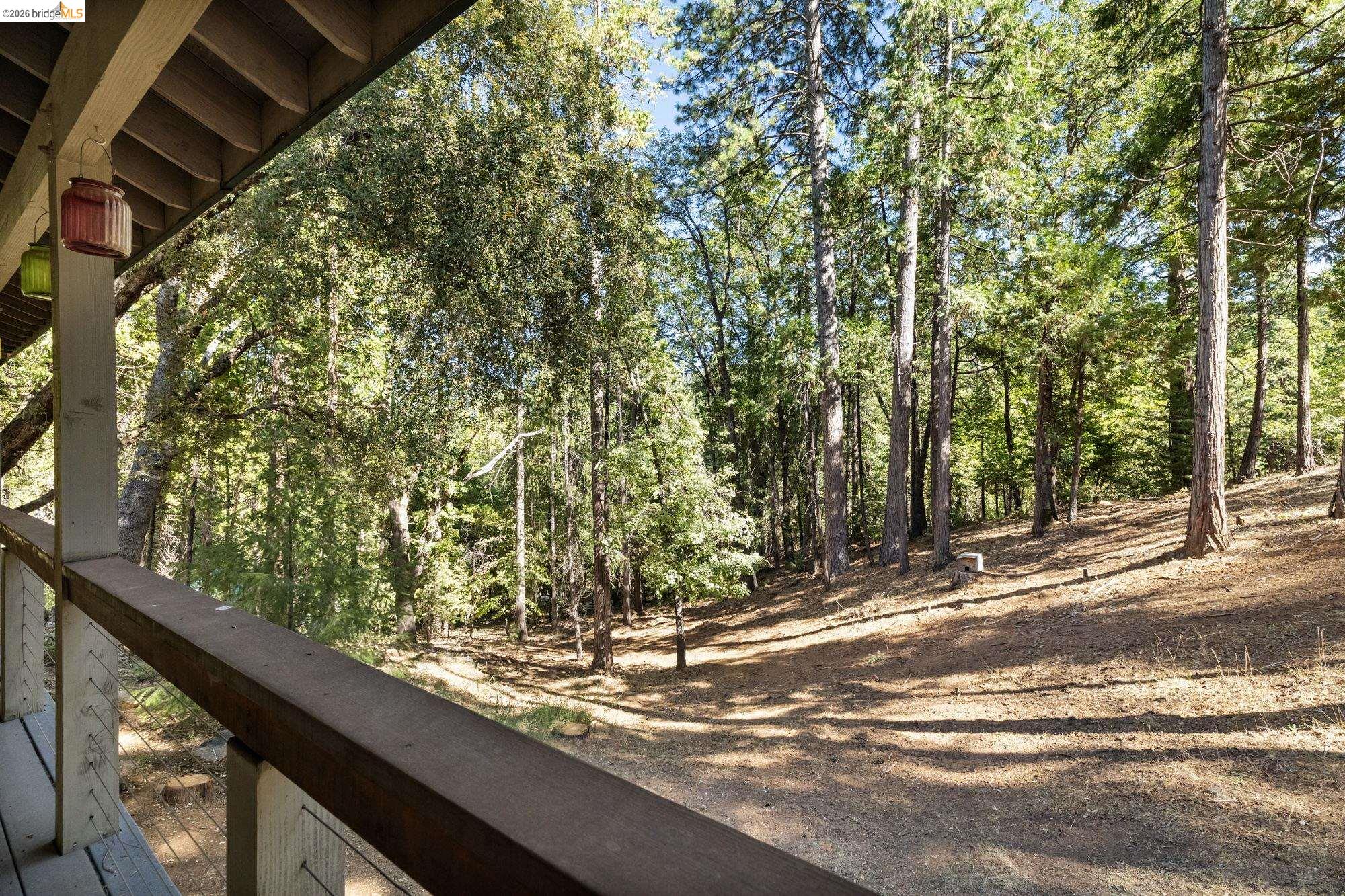 24669 Center Camp