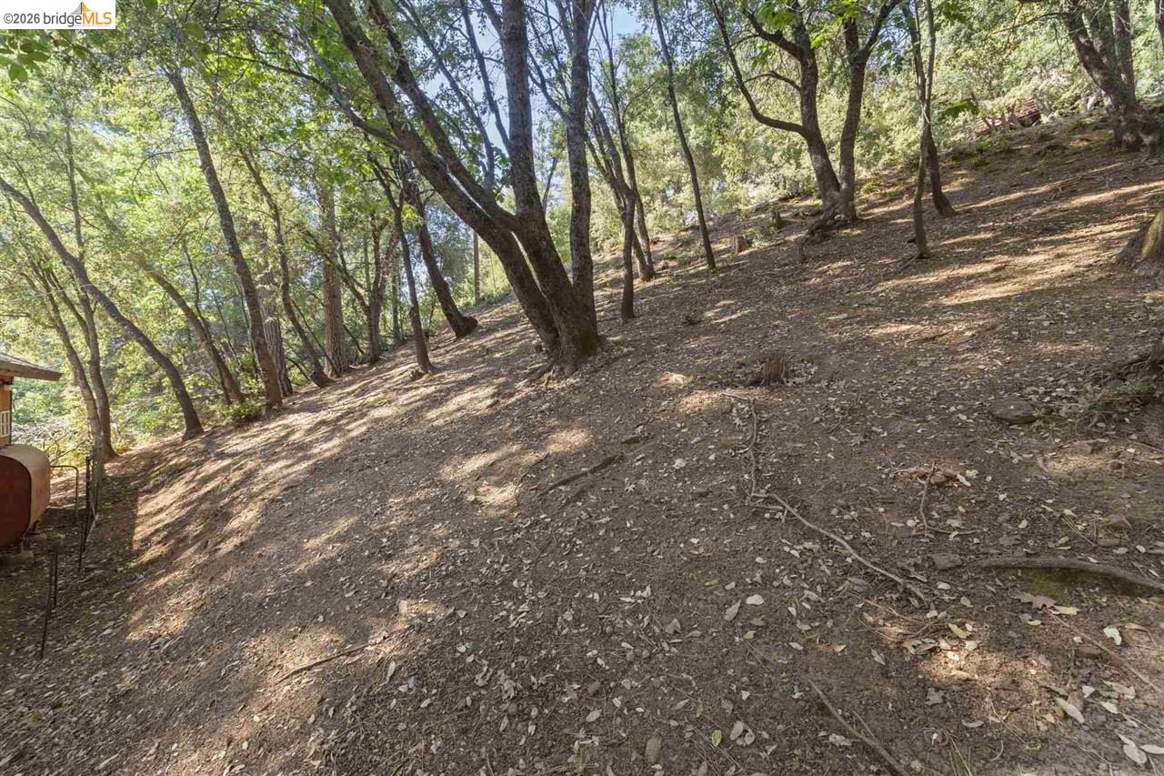 20569 Ponderosa Way