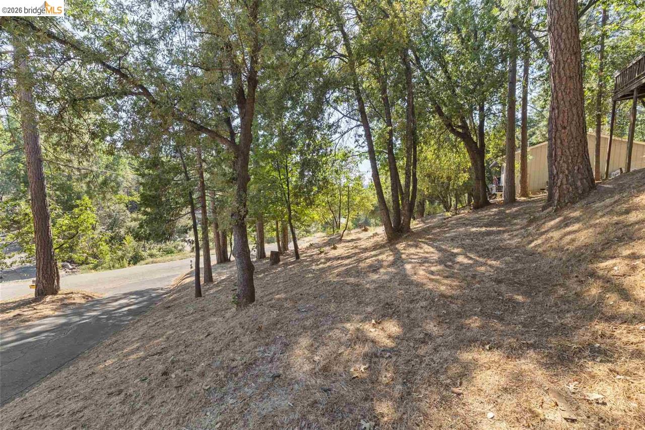 20569 Ponderosa Way