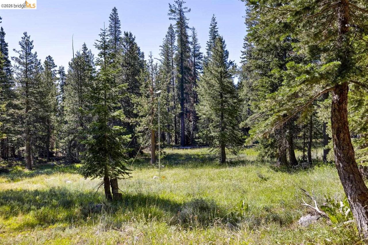 1 Eagle Meadow