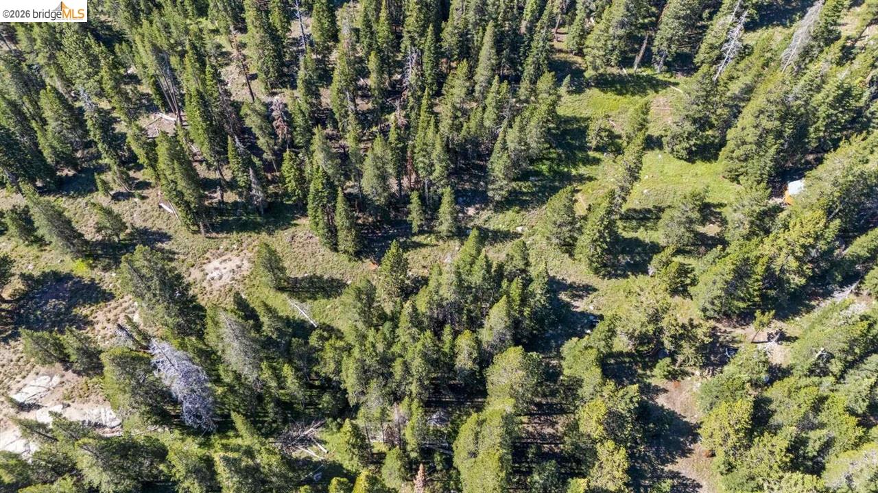 1 Eagle Meadow