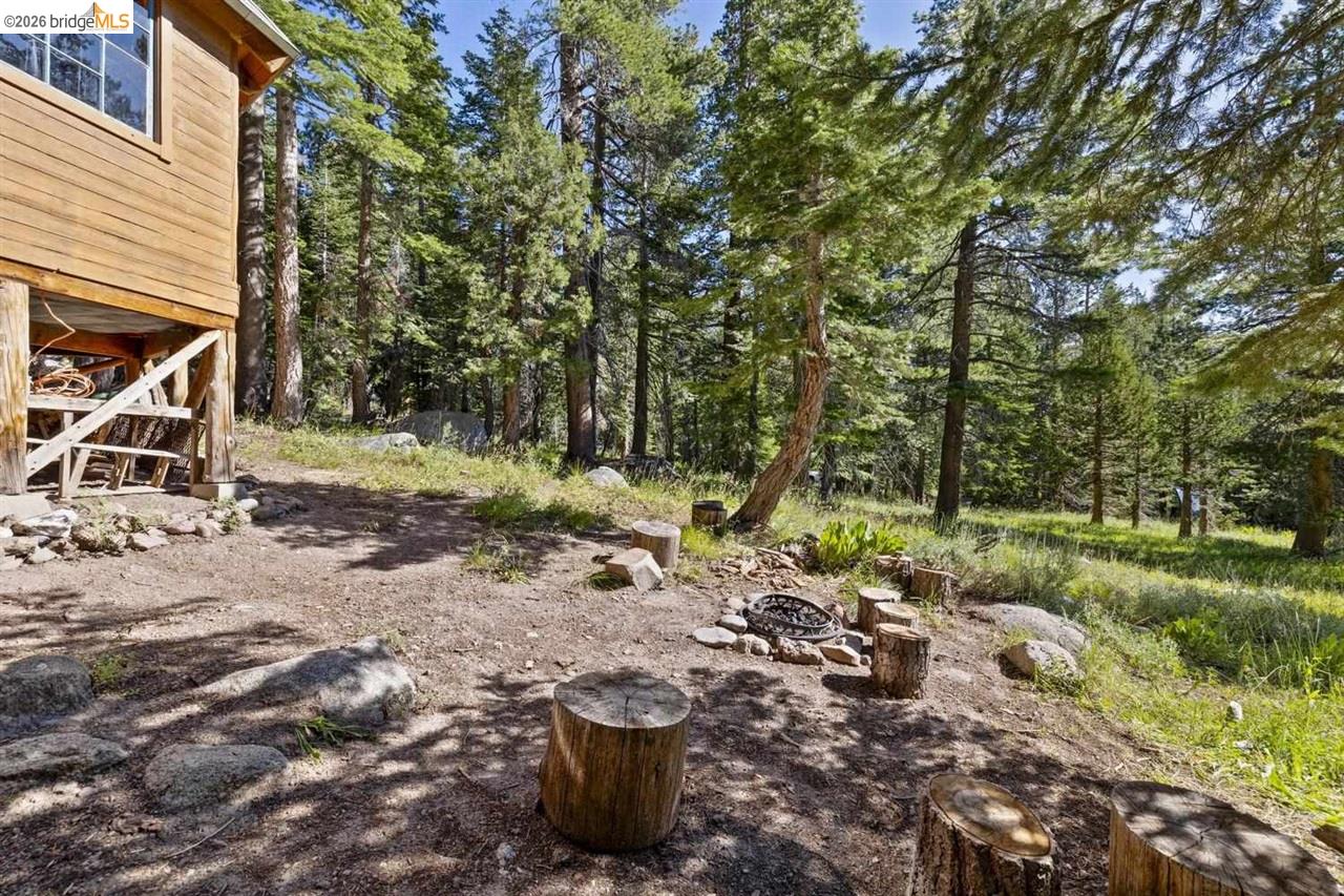 1 Eagle Meadow