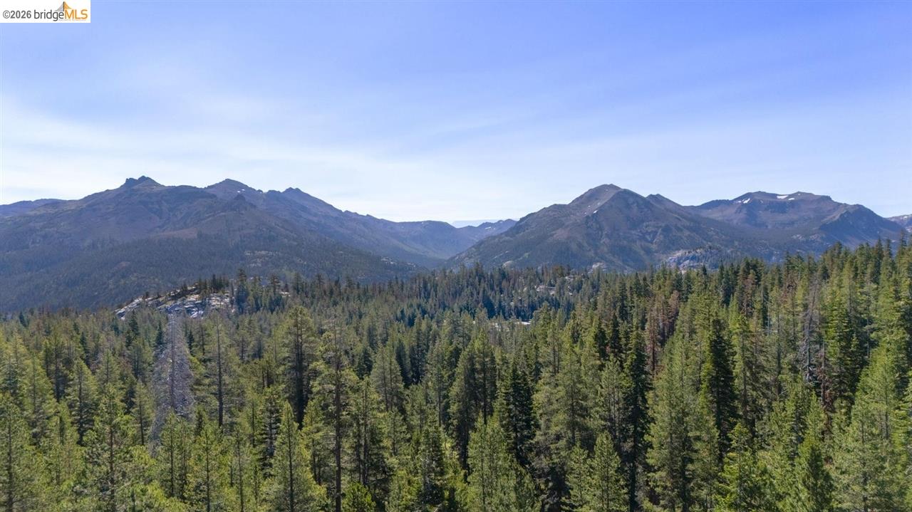 1 Eagle Meadow