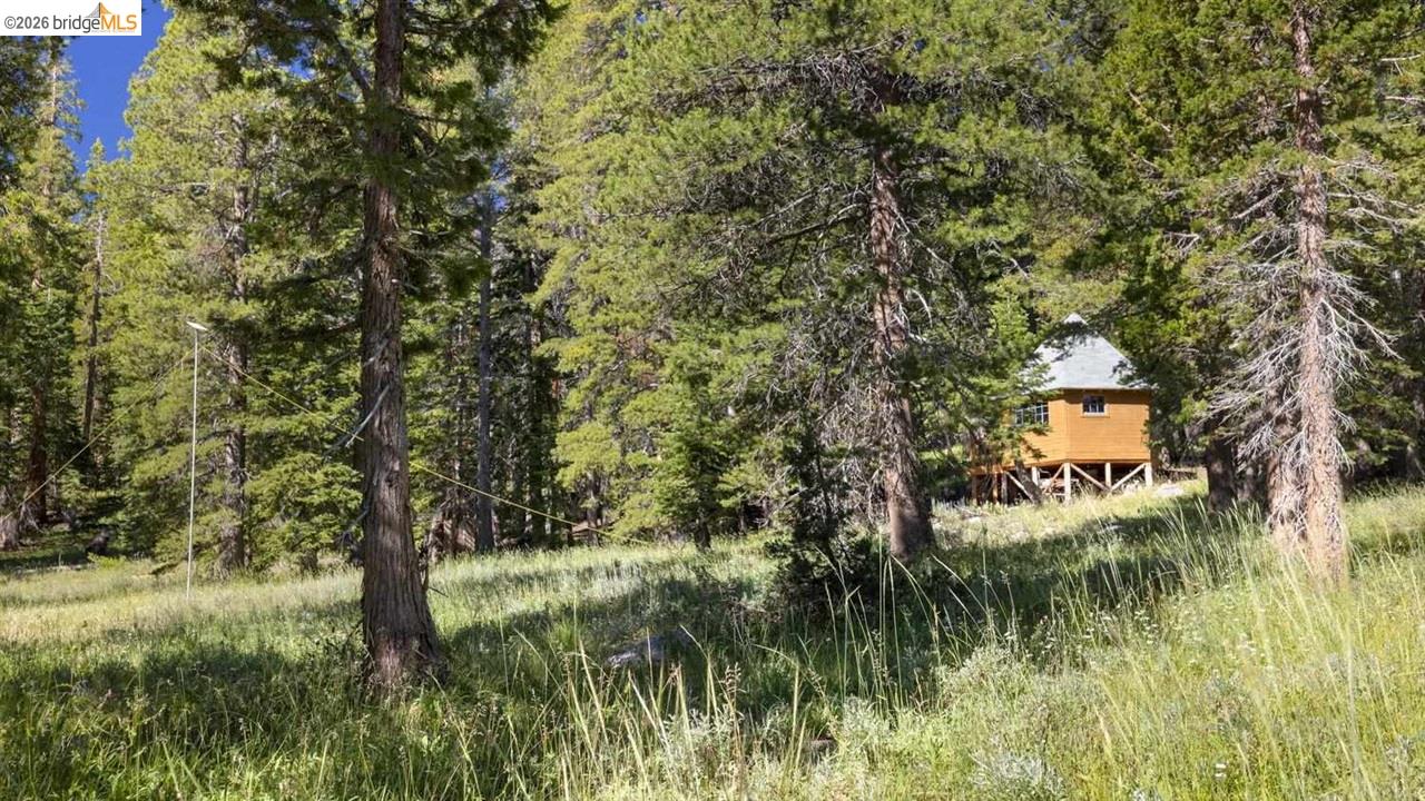 1 Eagle Meadow