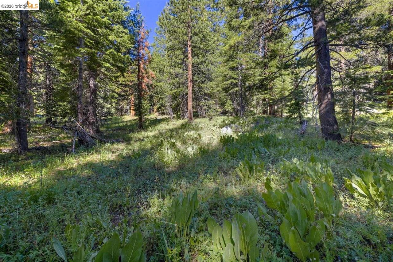 1 Eagle Meadow