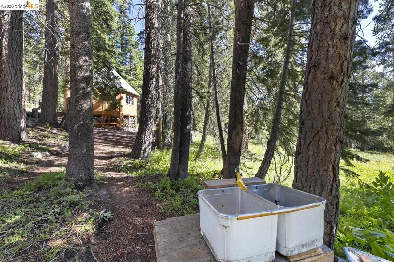 1 Eagle Meadow