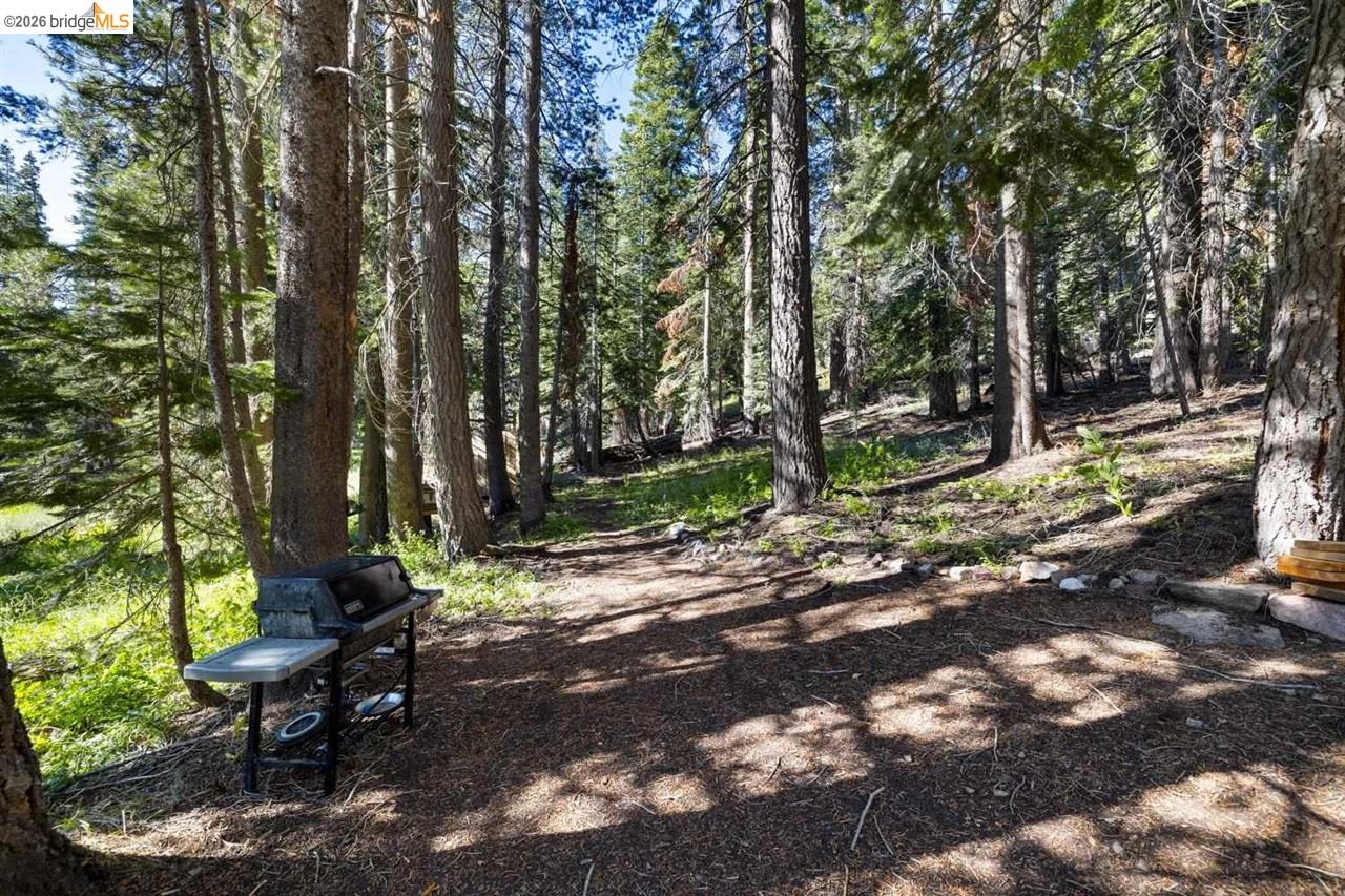 1 Eagle Meadow