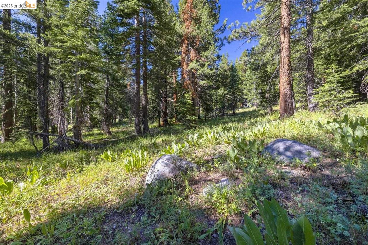1 Eagle Meadow