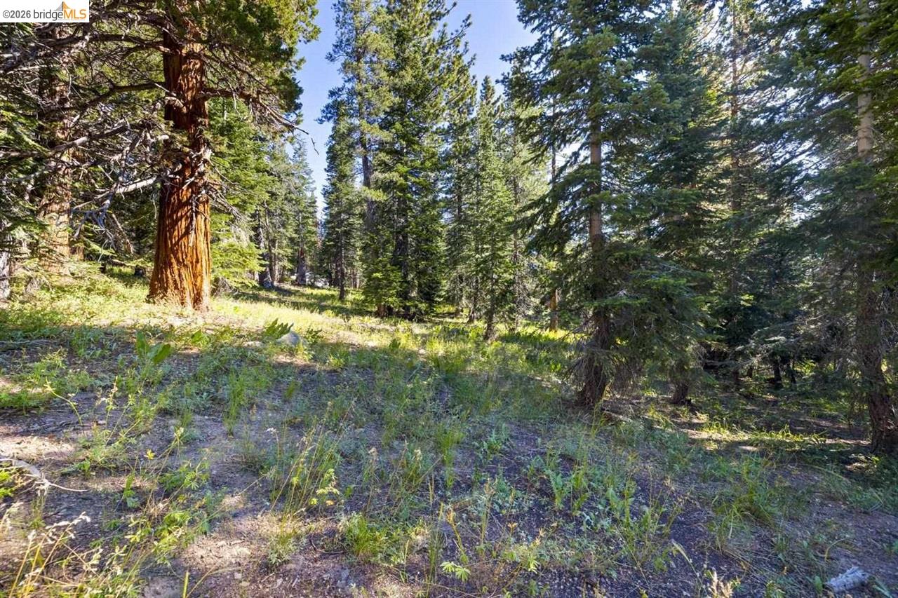 1 Eagle Meadow