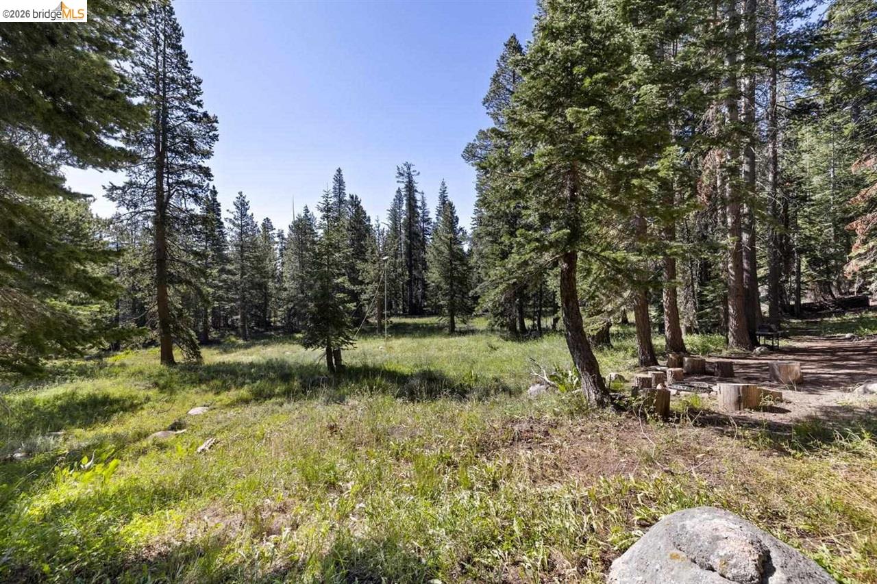 1 Eagle Meadow