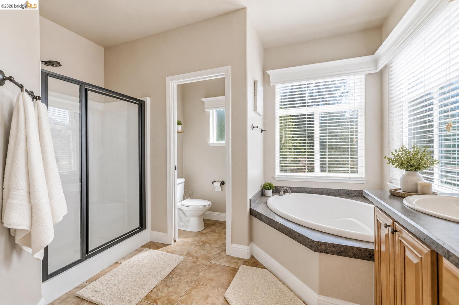 11019 Mountain Vista Ct