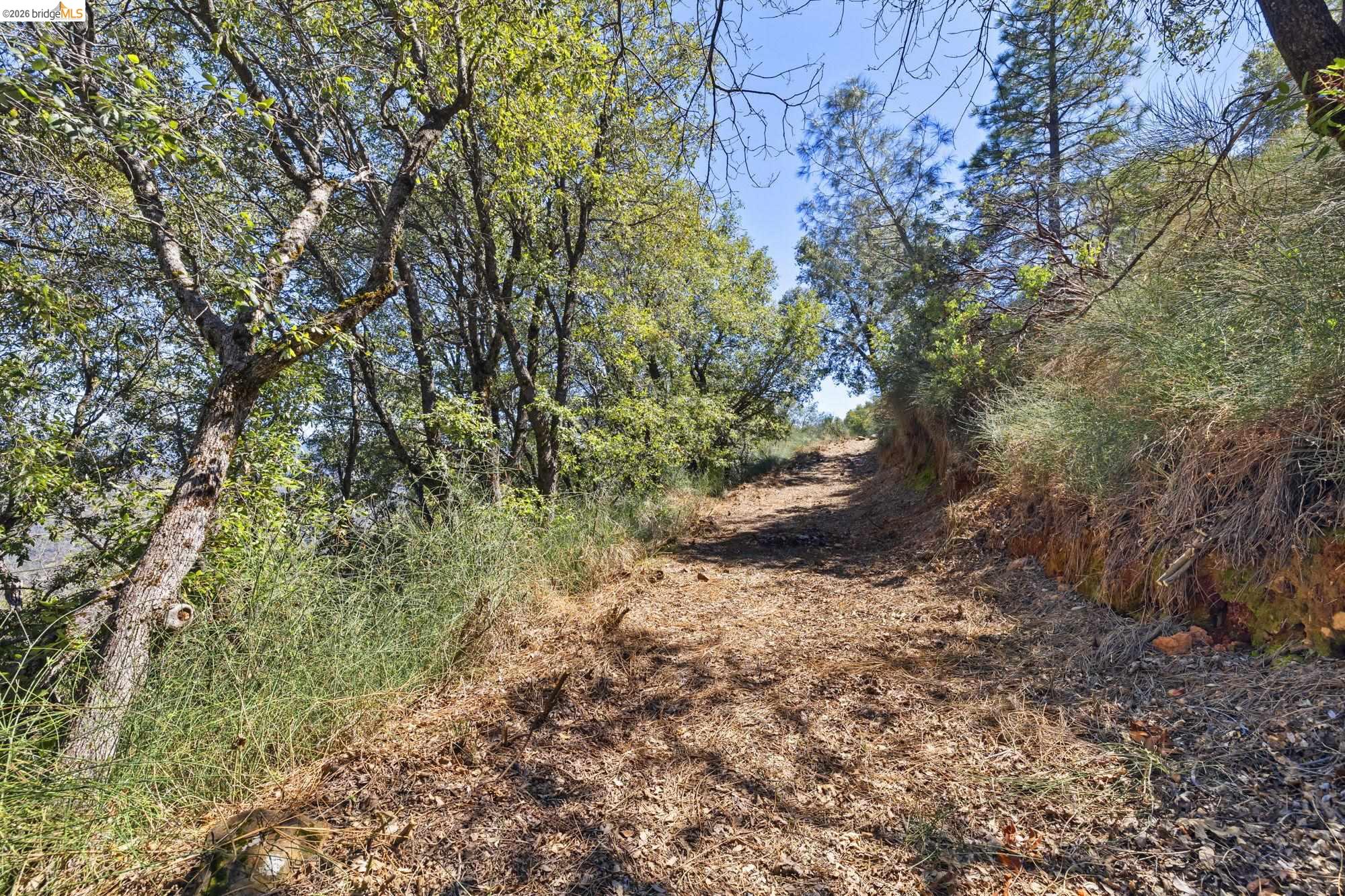 22611 Ridgemont Dr