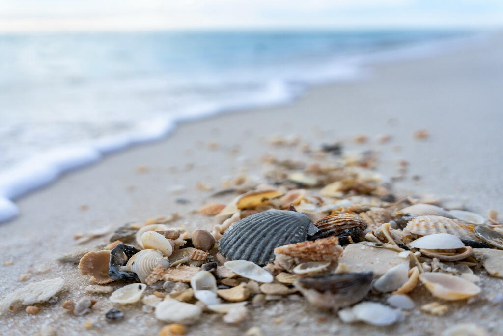 20405 Front Beach Road