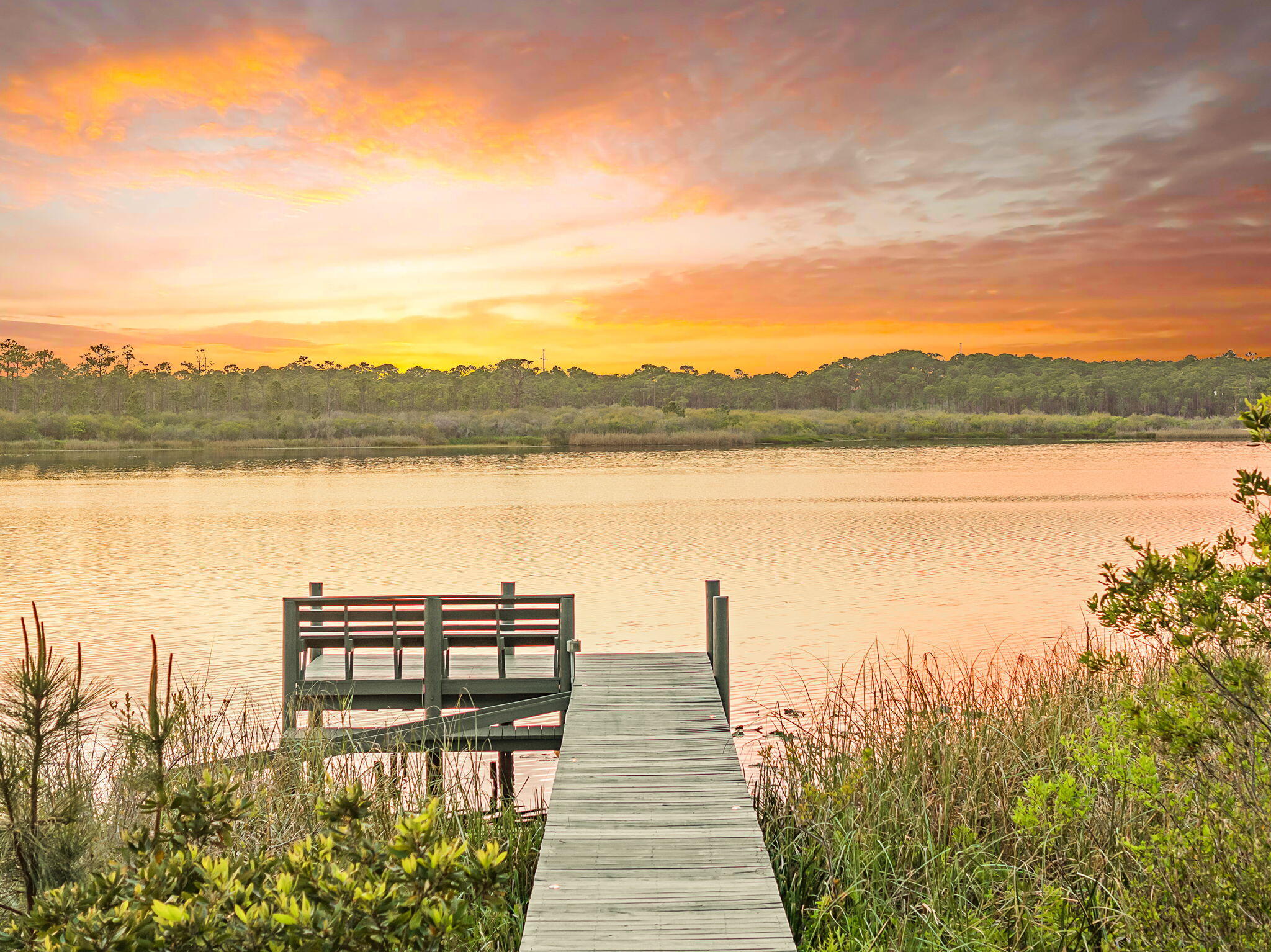 285 Twisted Pine Trail