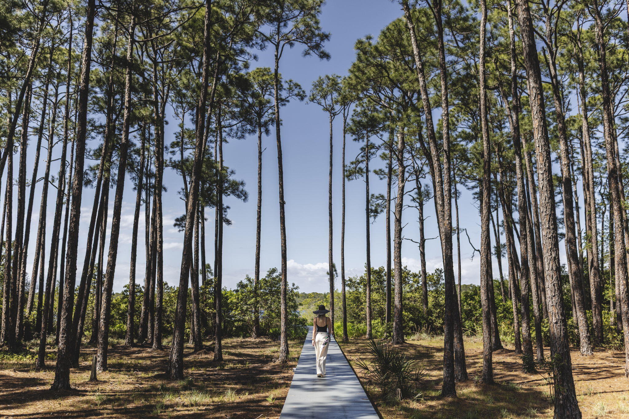 285 Twisted Pine Trail