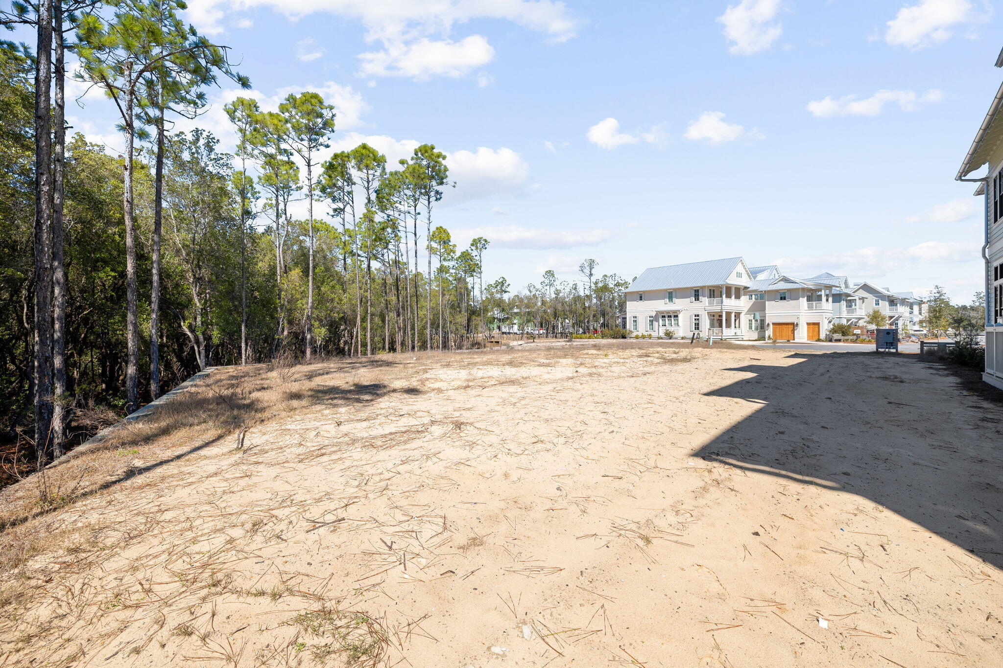 72 String Lily Cove