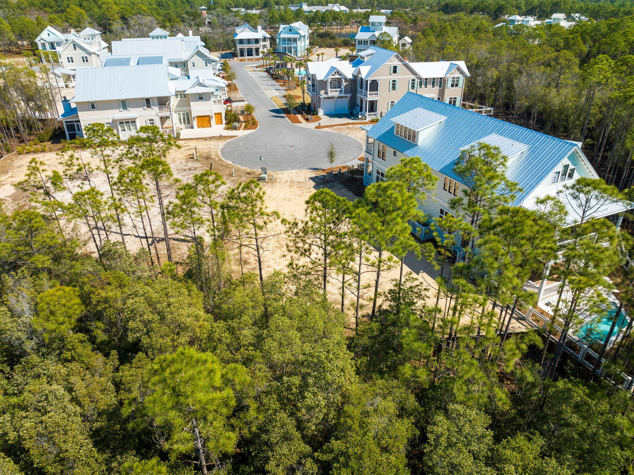 72 String Lily Cove