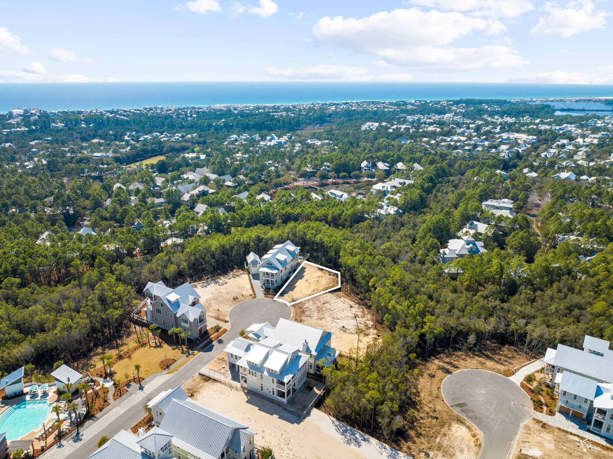 72 String Lily Cove