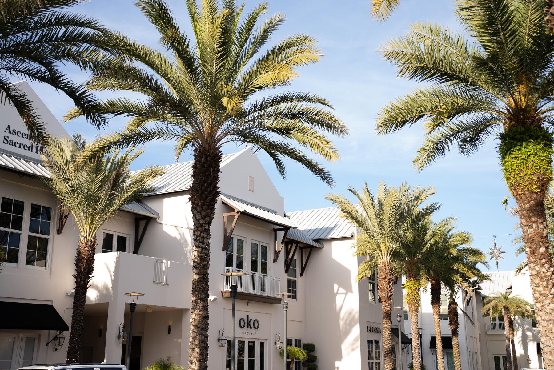 28 W Queen Palm Drive